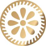 MIELE DI CASTAGNO 28 G.